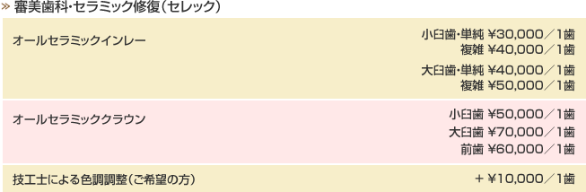 審美歯科・セラミック修復（セレック）